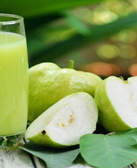 Nước Ép Ổi